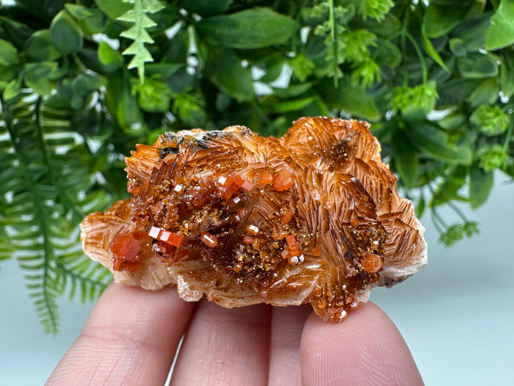 Red Vanadinite Crystal Cluster on Barite Matrix from Morocco, Geology Specimen