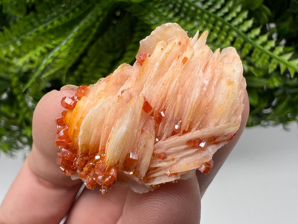 Red Vanadinite on Barite, Morocco Crystal Specimen
