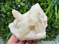 Calcite on Green Quartz: Laki Bulgaria Healing Crystal