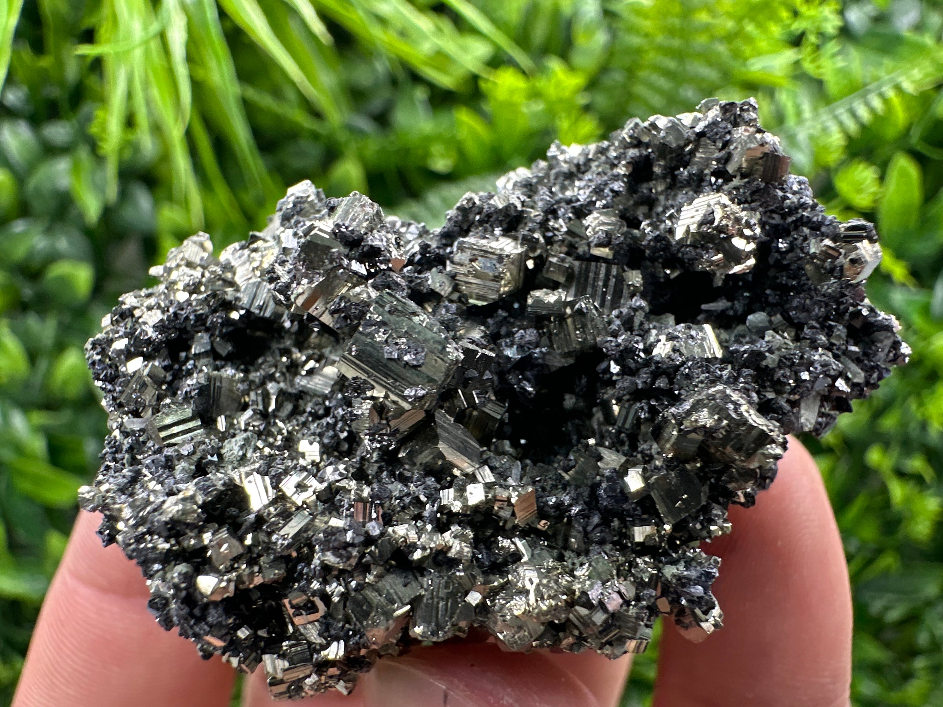 Pyrite on Quartz Needles, Borieva Mine Bulgaria, Mineral Specimen