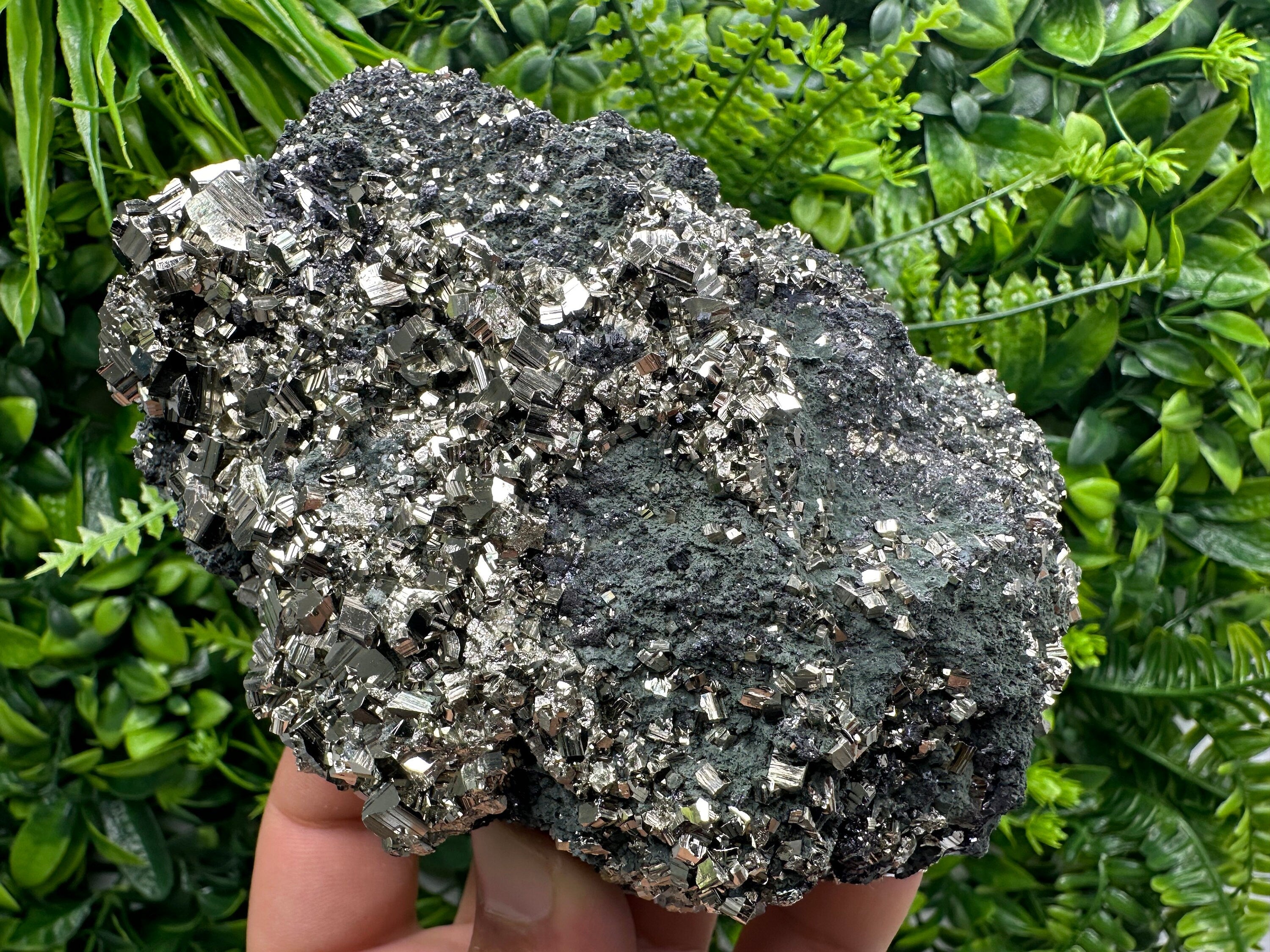 Golden Pyrite on Sphalerite with Chlorite, Bulgaria Mineral Specimen