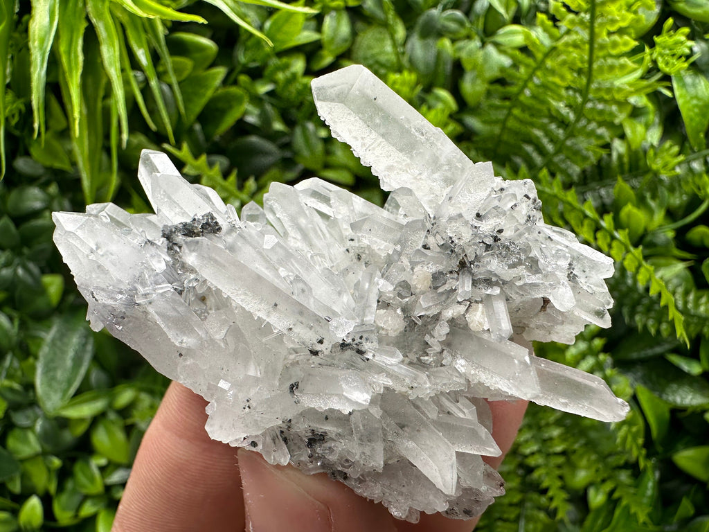 Quartz Calcite Chlorite Crystal: Borieva Mine, Bulgaria