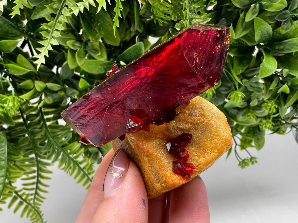 XXL Rare Pruskite Ruby Crystal on Matrix, Laboratory Grown
