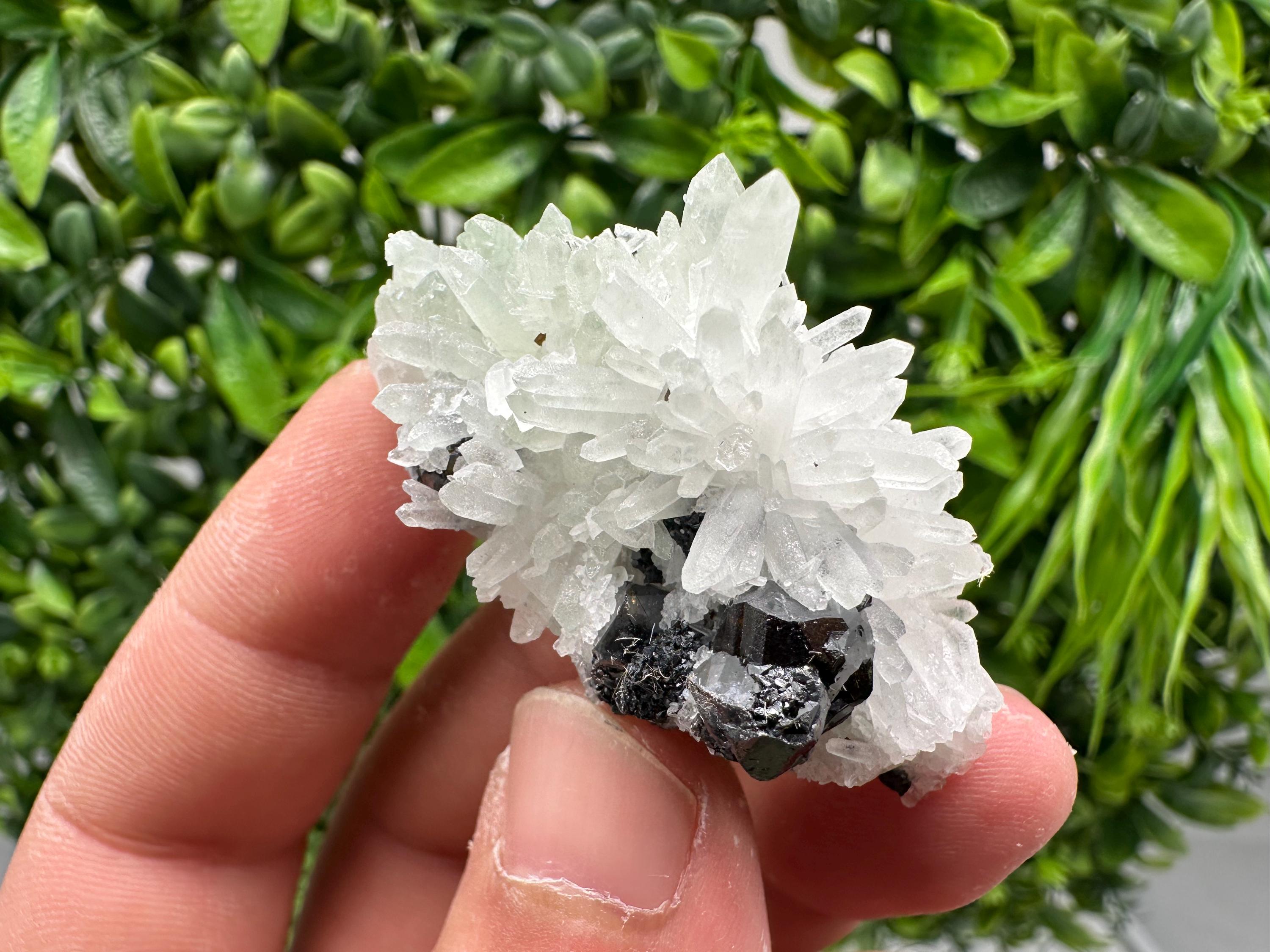 Sphalerite on Quartz, Bulgaria Mineral Specimen, Home Decor Crystal