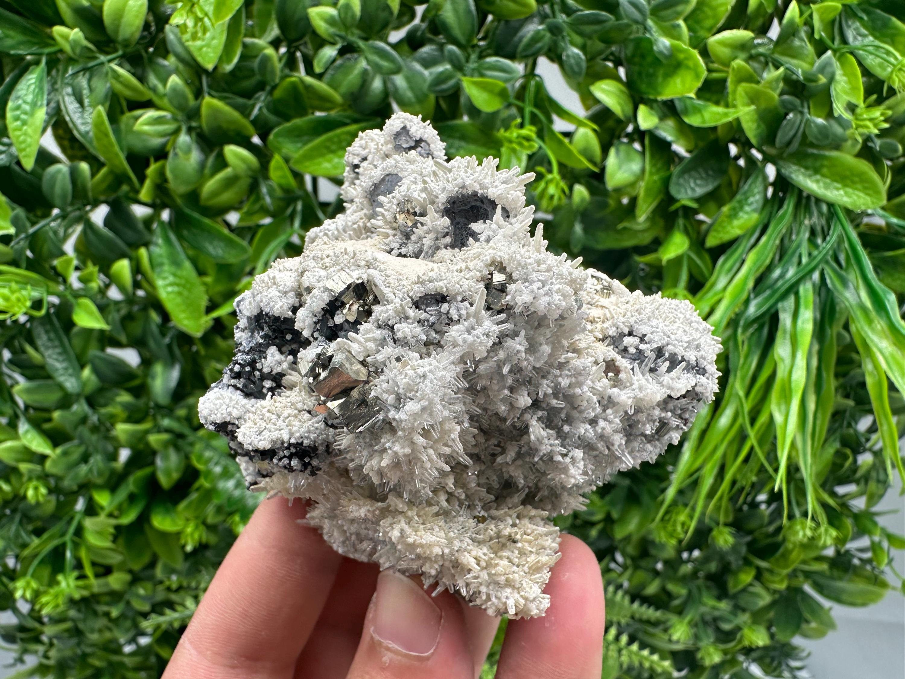 Galena Quartz Pyrite Specimen: Krushev Dol Mine Mineral Decor