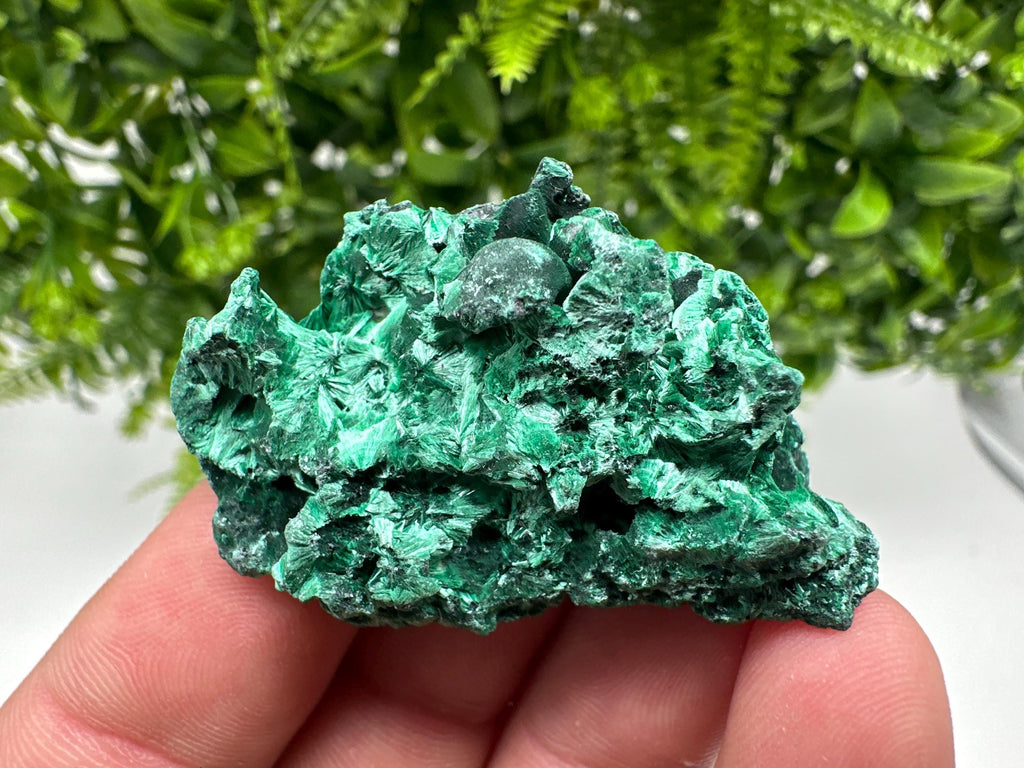 Malachite Crystal from Congo,Minerals,Crystals from Congo,Green Malachite, Malachite,Natural Malachite,Malachite Stone,Chakra, Specimens