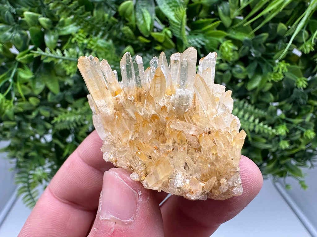 Transparent Quartz Limonite Crystal Cluster, 9th September mine,Mine, Bulgaria,natural,collection mineral specimen