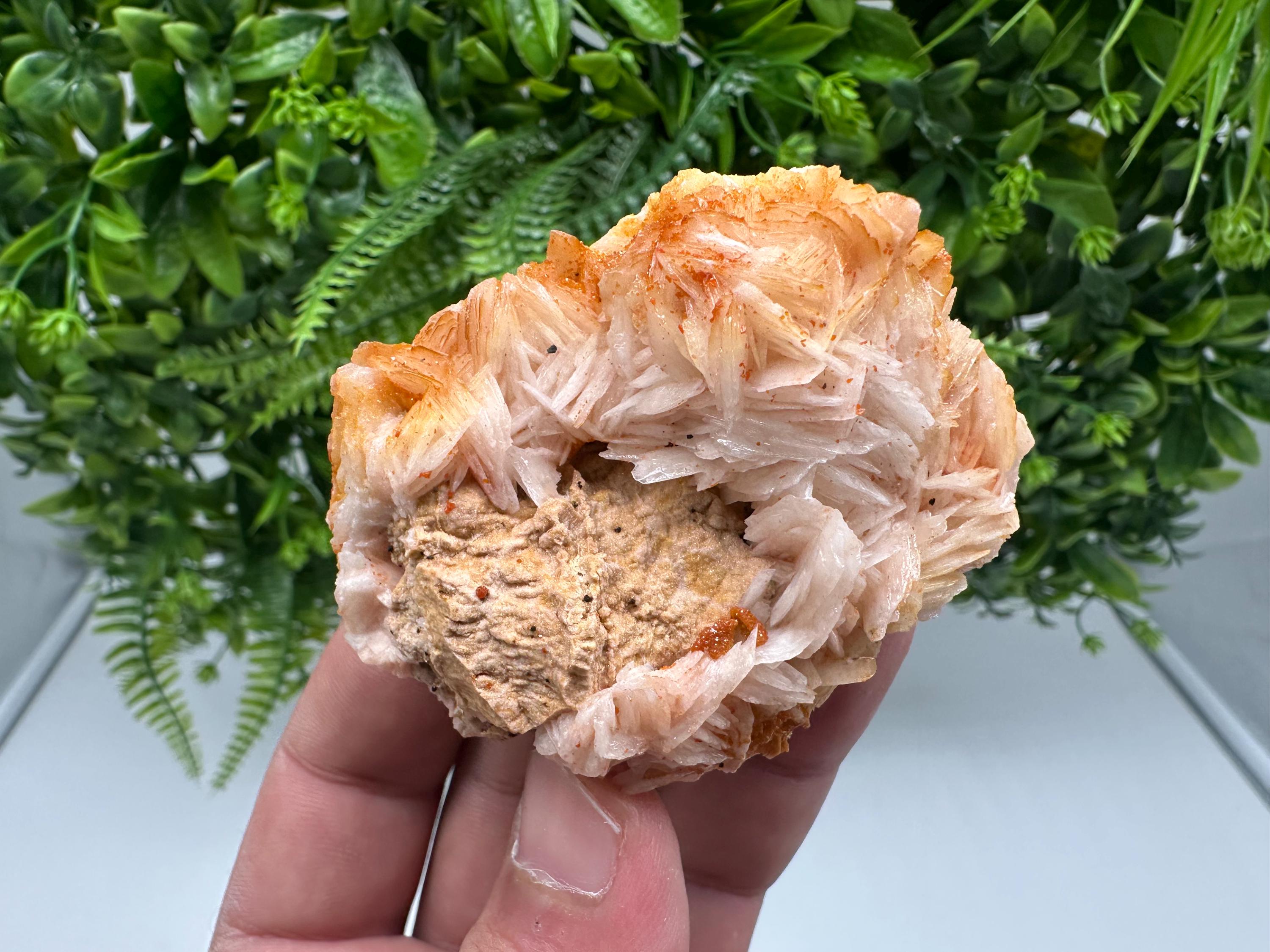 Red Vanadinite on Barite from Marocco,crystal minerals Speciment cluster Vanadinite crystal Vanadinite Geology Vanadinite cluster minerals