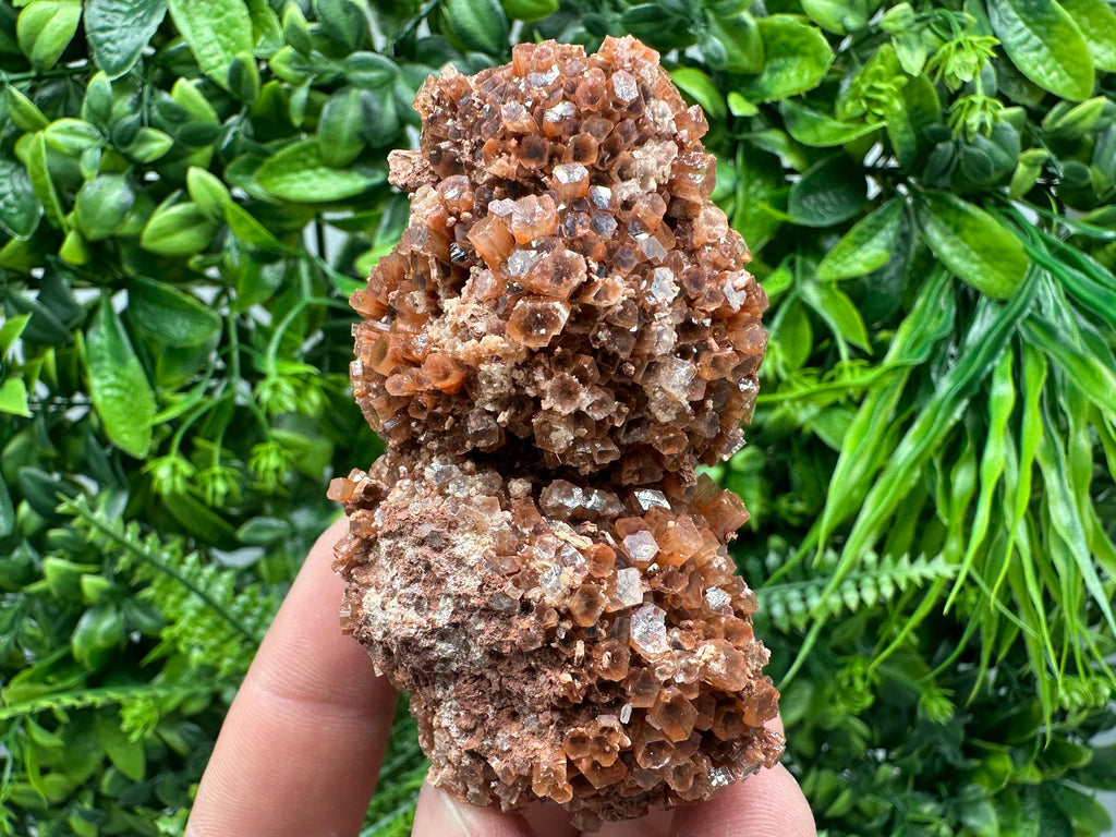 Large Aragonite Sputnik Cluster: Moroccan Raw Crystal Stone Decor