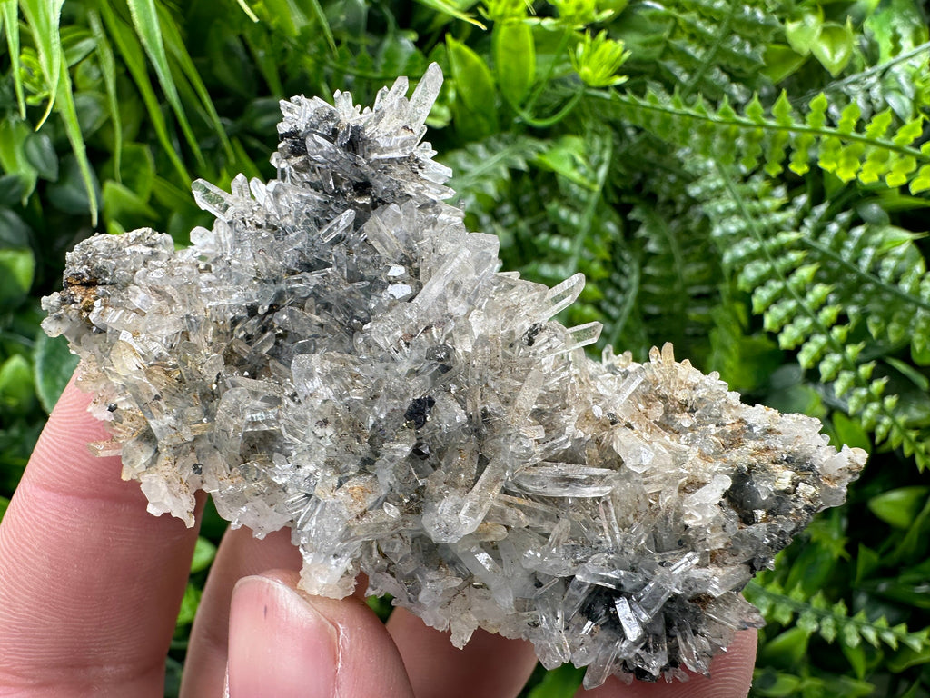 Pyrite Sphalerite on Quartz, Borieva Mine, Bulgaria (8/6/3 cm)