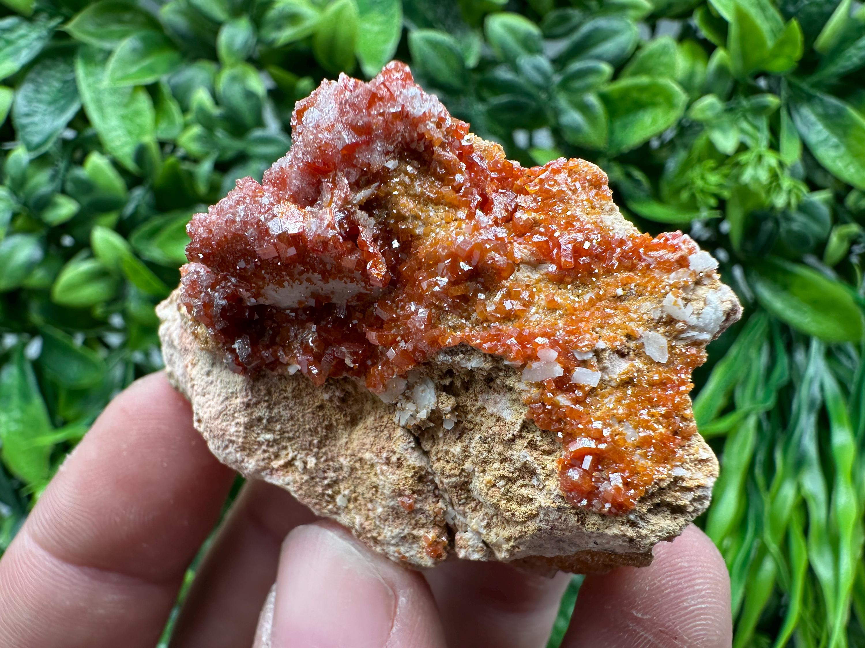 Red Vanadinite Crystal Cluster on Matrix, Morocco Mineral Specimen