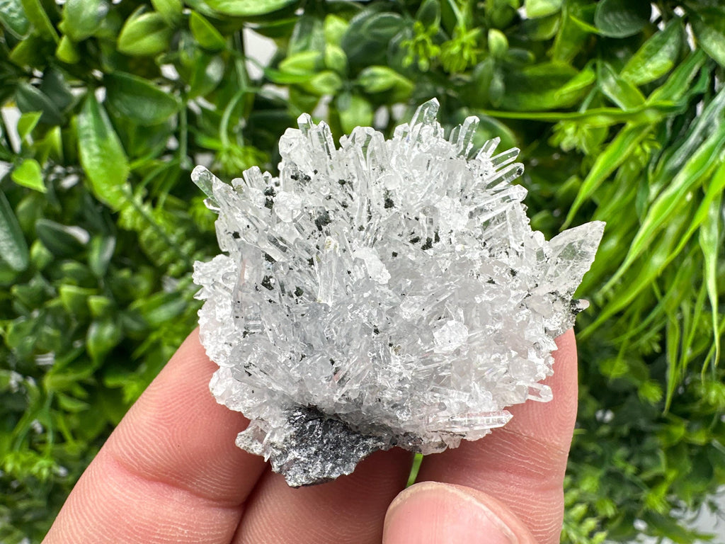 Chlorite Quartz Crystal Cluster - Borieva Mine, Bulgaria