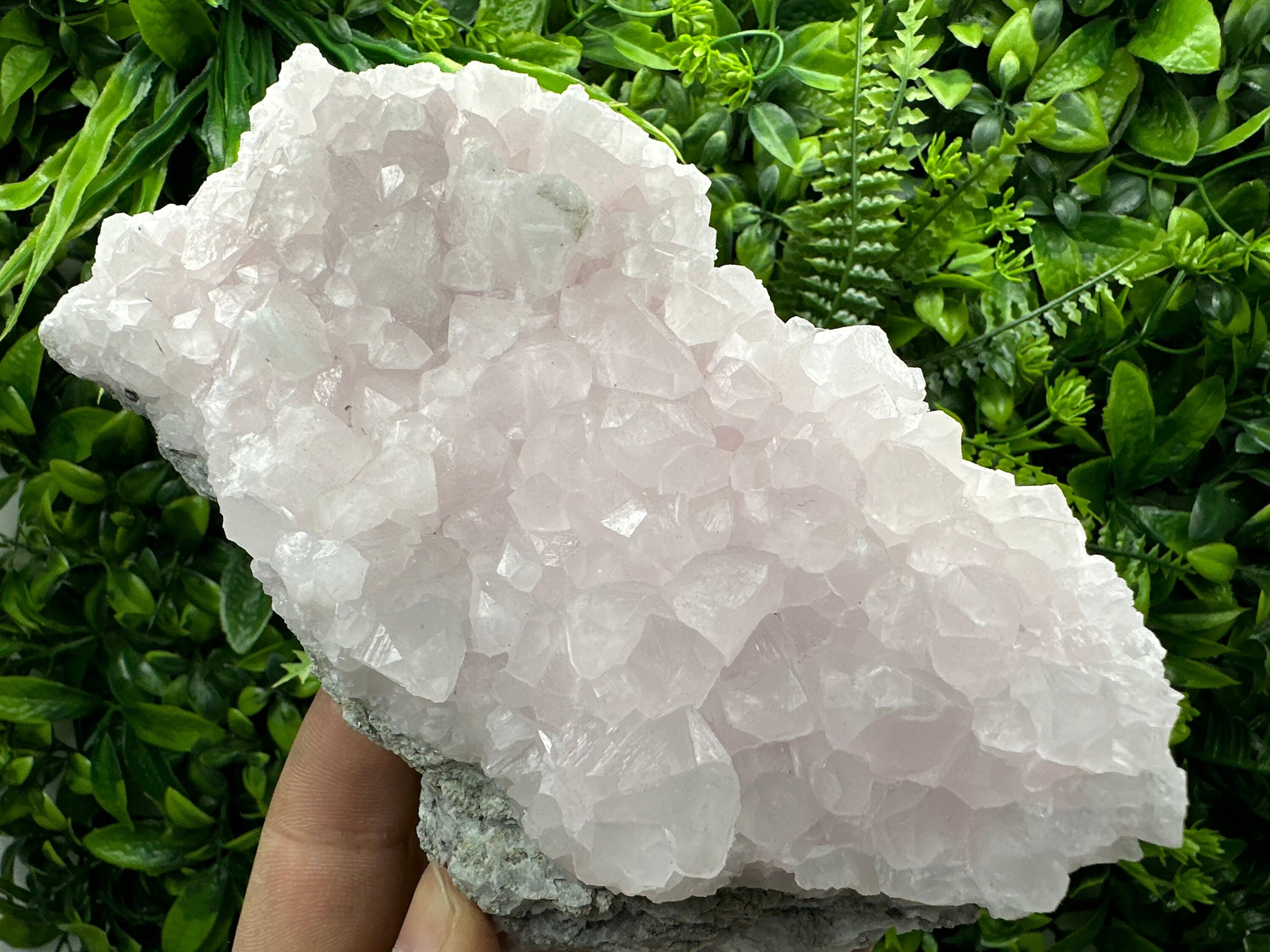 UV Reactive Mangano Calcite Crystal: Androvo Mine, Bulgaria