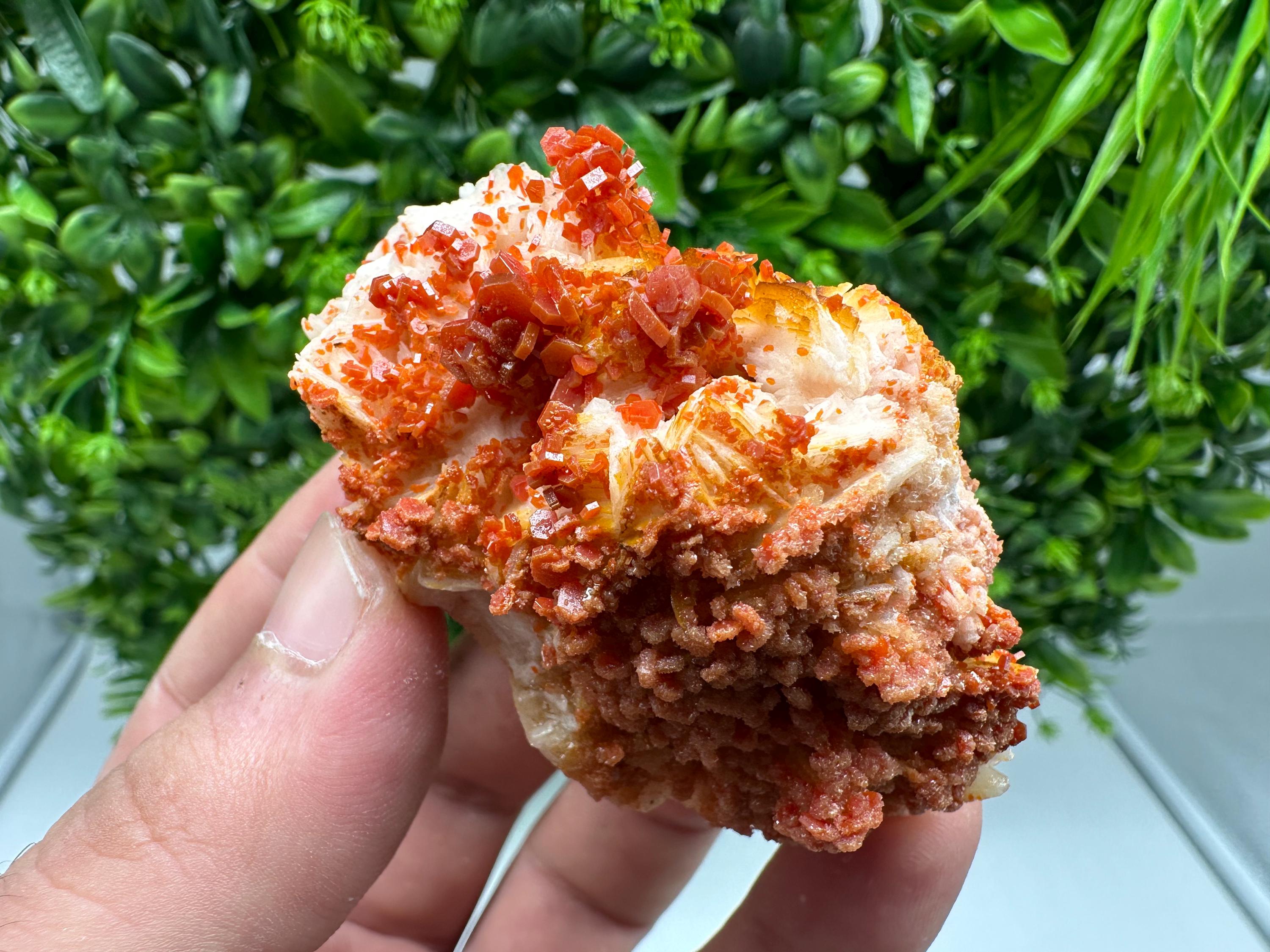 Red Vanadinite on Barite from Marocco,crystal minerals Speciment cluster Vanadinite crystal Vanadinite Geology Vanadinite cluster minerals