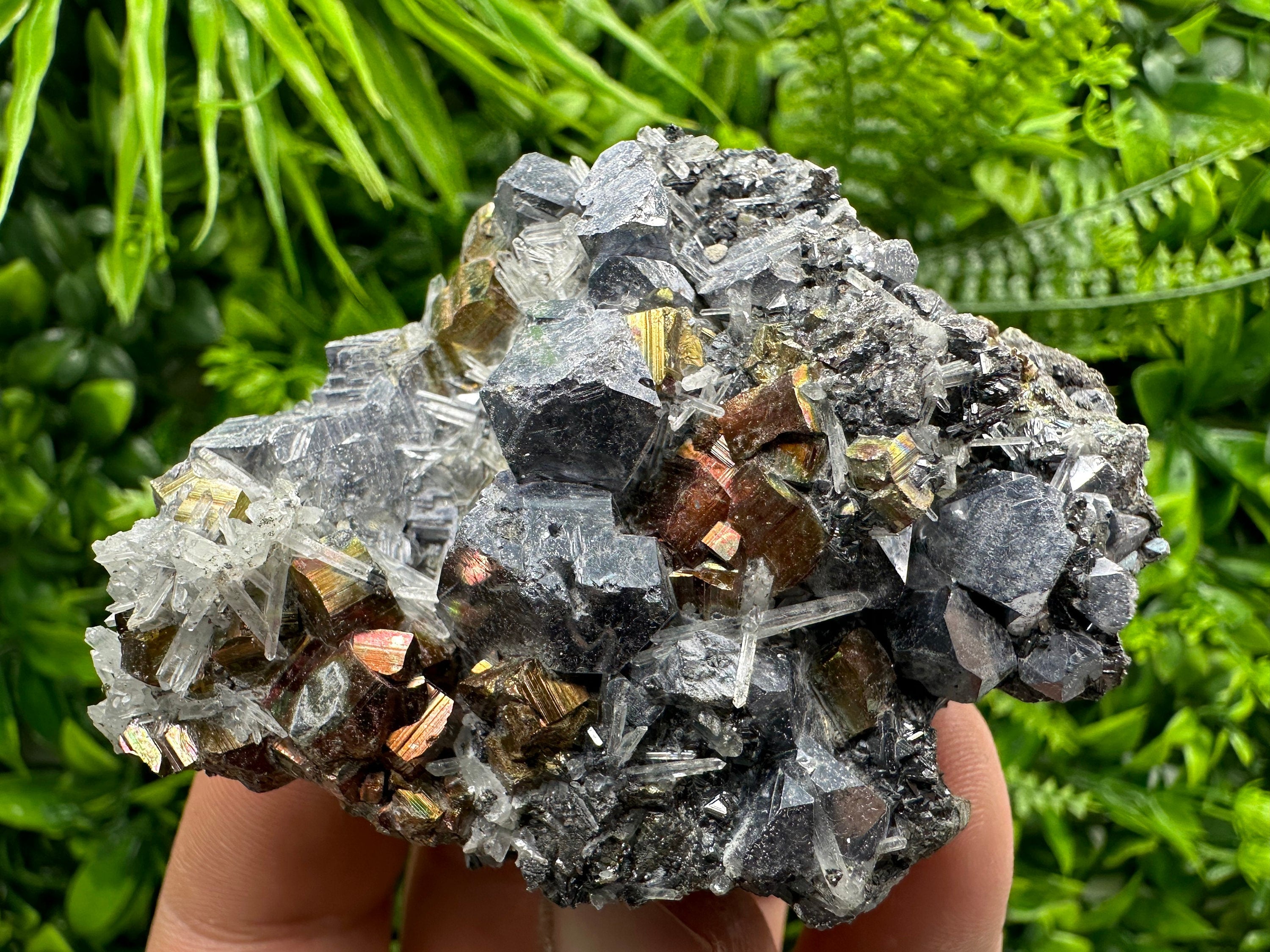 Red Pyrite, Galena, Sphalerite & Quartz Crystal Cluster - Borieva Mine