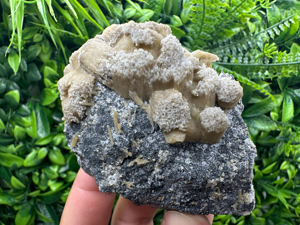 Rare Calcite Cluster on Matrix, Bulgaria Mineral Specimen