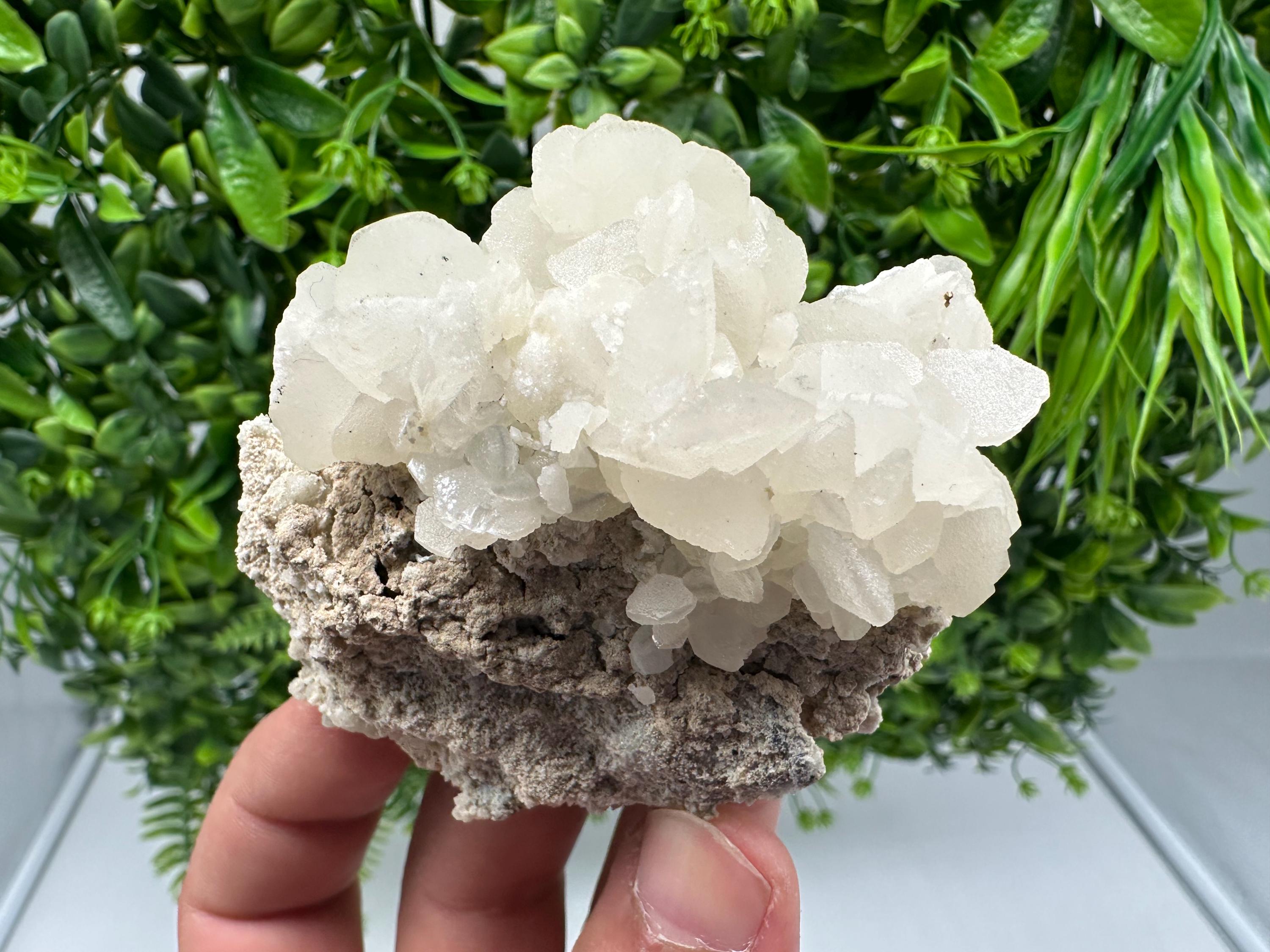Rare Calcite Cluster on Matrix, Bulgaria Mineral Specimen, Home Decor