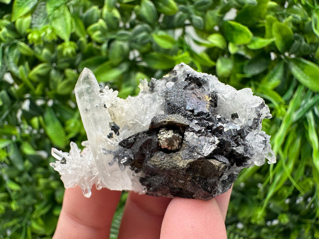 Wonderful Sphalerite Chalcopyrite on  Quartz whit Galena feom 9 th September mine,Bulgaria,natural,collection mineral specimen,gift