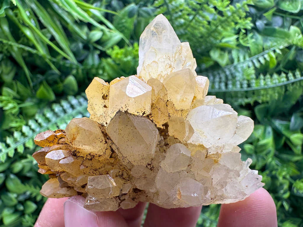 Transparent Quartz Cluster: Natural Mineral Specimen, Bulgaria