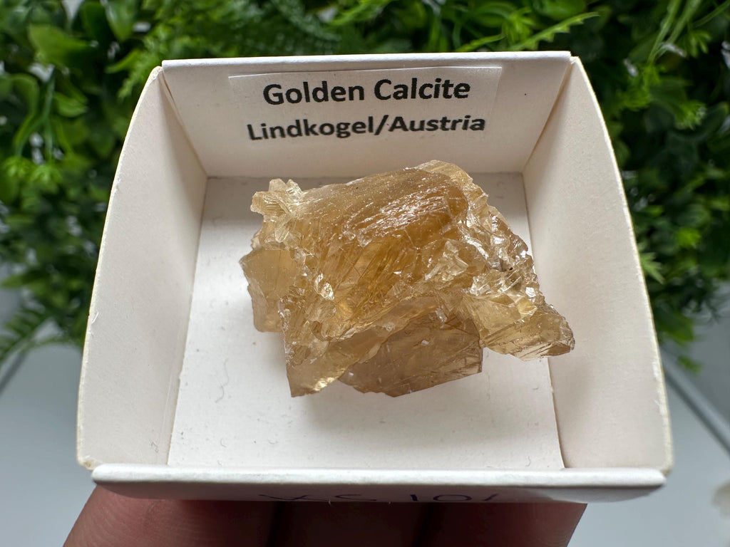 Raw Honey Calcite Crystal: Rough Golden Stone (3.5/2.5 cm)