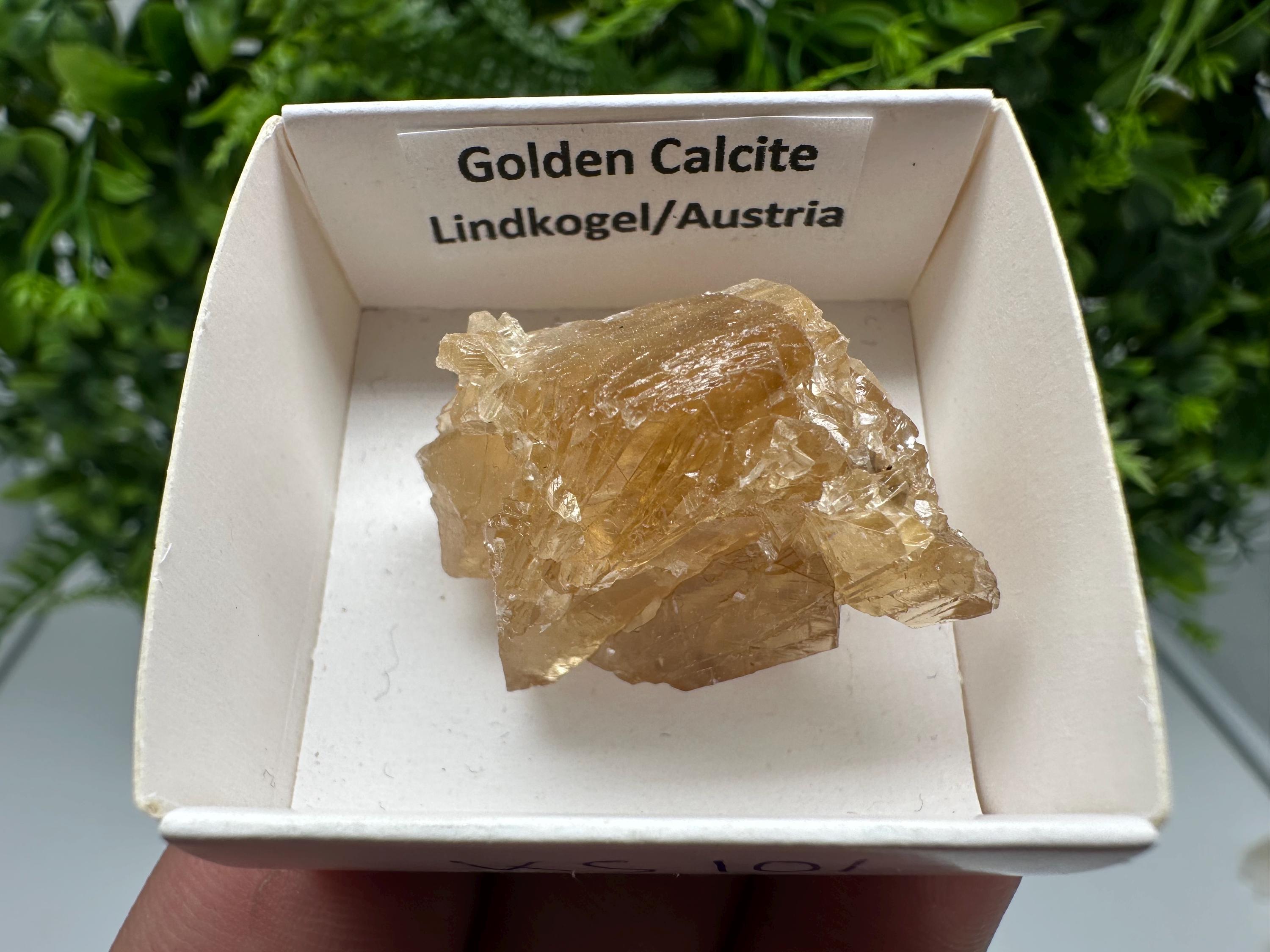 Raw Honey Calcite Crystal: Rough Golden Stone (3.5/2.5 cm)