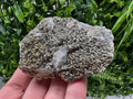 Marcasite Cluster on Chalcedony, Bulgaria Mineral Specimen