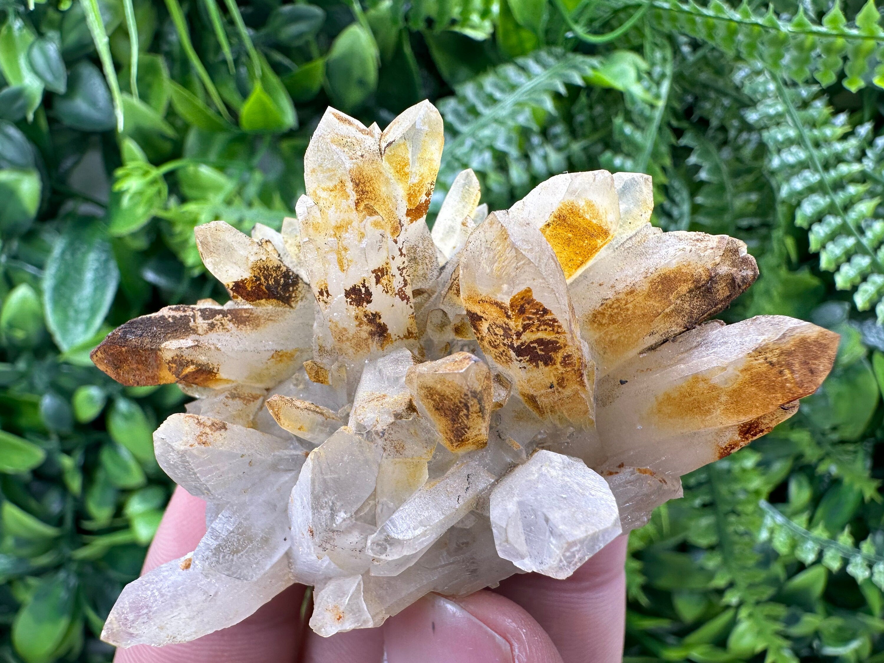 Limonite Coated Quartz Crystal - Natural Mineral Specimen