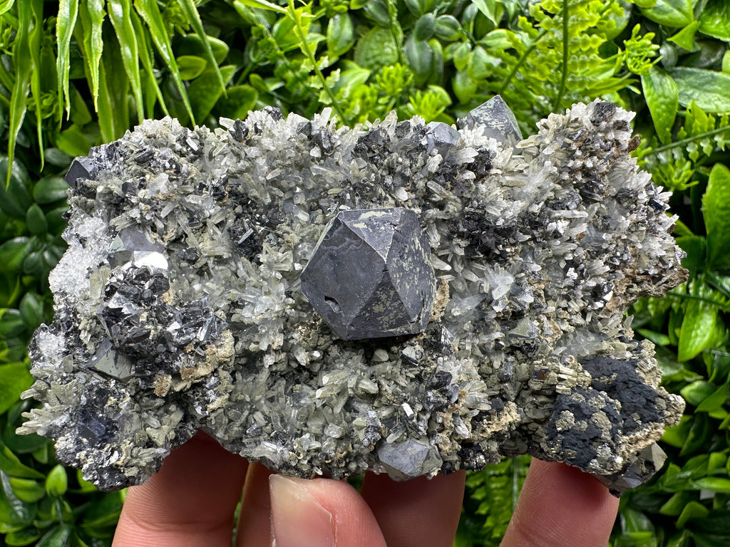Galena Pyrite Sphalerite on Quartz, Madan Bulgaria Mineral Specimen