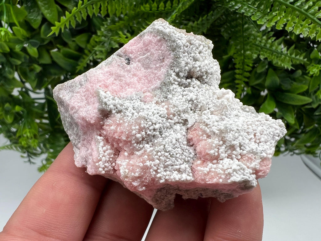 RARE Rhodochrosite with White Calcite, Starnica Mine, Bulgaria