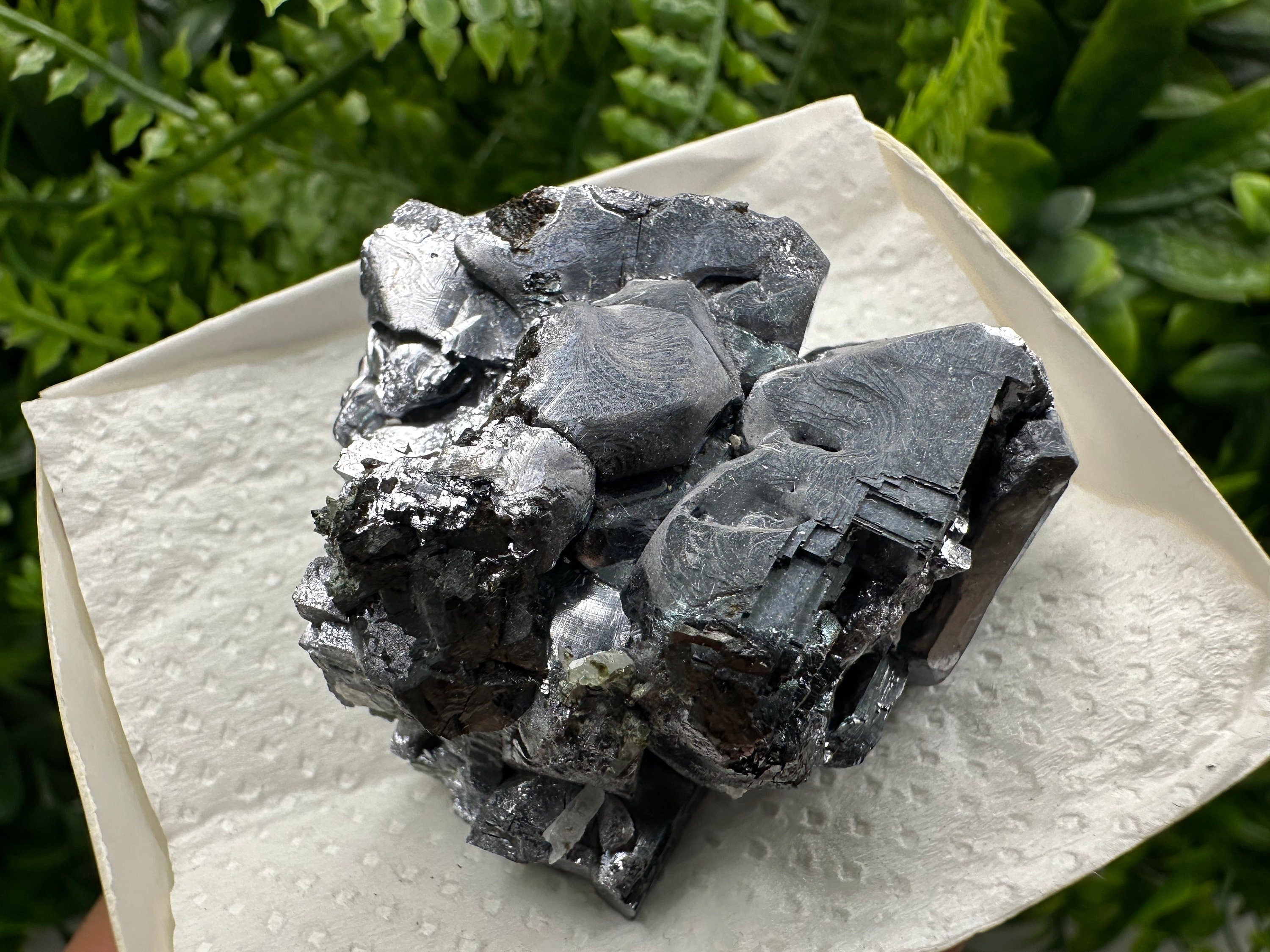 Shiny Galena Cluster: Borieva Mine, Madan Bulgaria