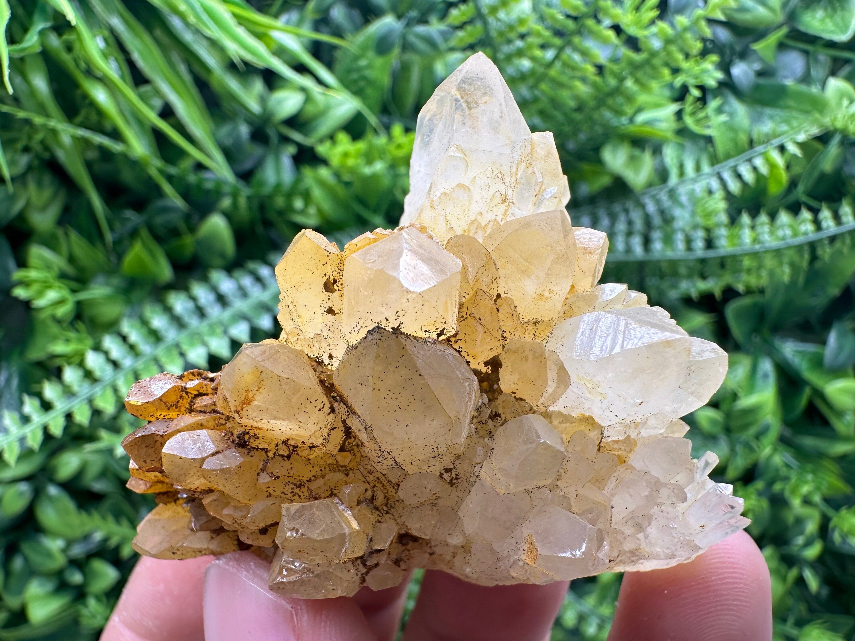 Transparent Quartz Cluster: Natural Mineral Specimen, Bulgaria