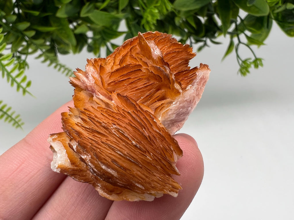 Wonderful Baryte with Cerussite on Galena from Morocco,Crystal, Mineral,Specimen,Cluster,Crystals,Barite Crystal,Cerussite Crystal,Specimen