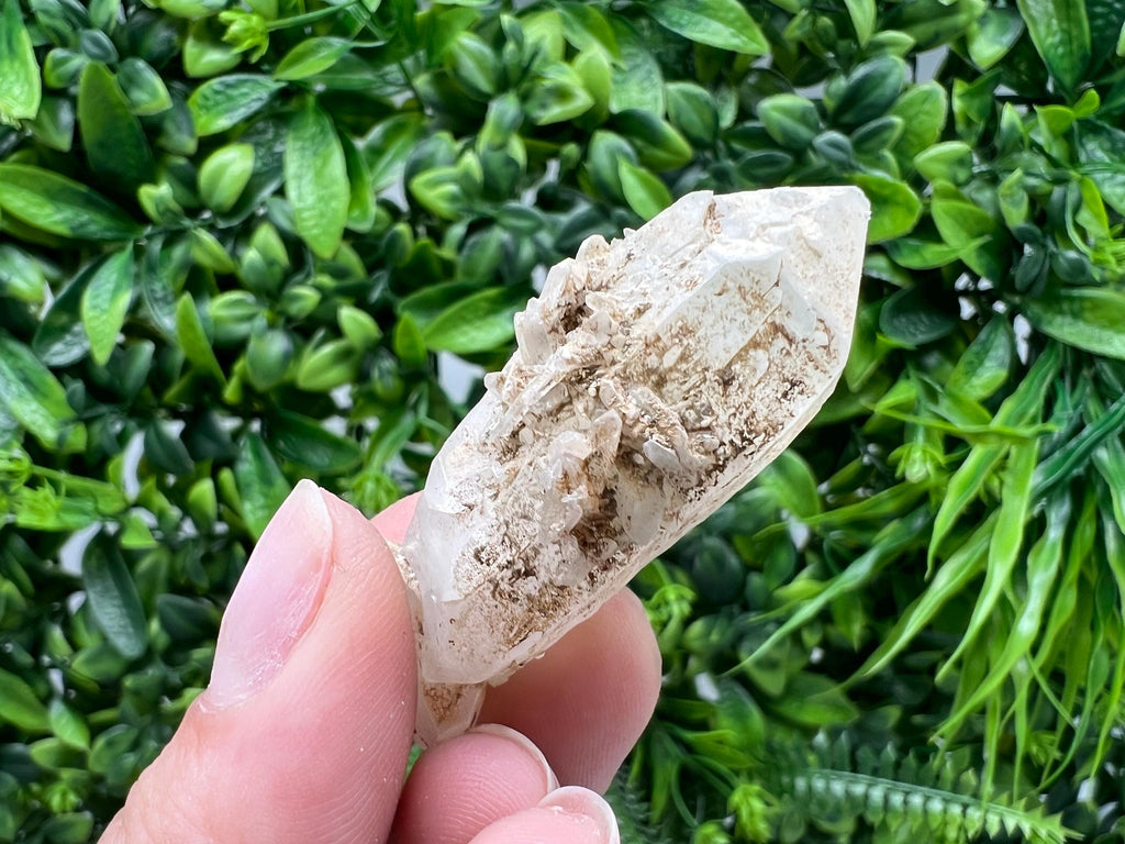 Quartz whit Brown Rhodochrosite from Djurcovo mine,Bulgaria,Quartz,Rhodochrosite cluster,natural mineral,collection crystal,mineral specimen