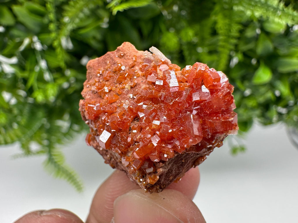 Red Vanadinite Crystal Cluster on Barite, Morocco Mineral Specimen
