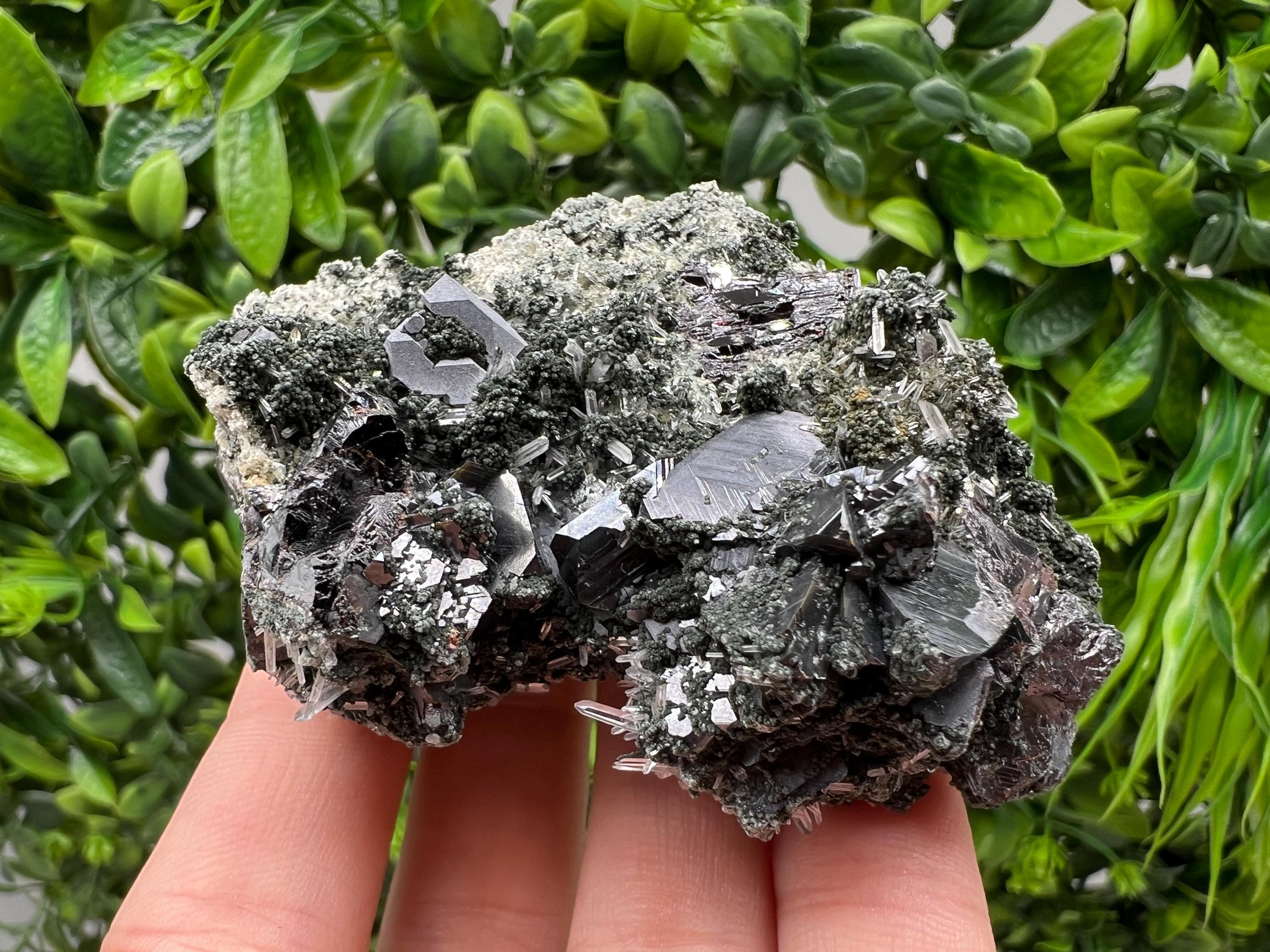 Sphalerite Galena Crystal: Chlorite Mineral Specimen, Bulgaria