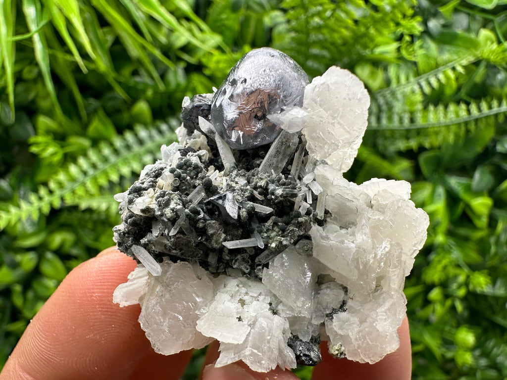 Mirror Galena, Calcite, Sphalerite on Quartz with Chlorite, Bulgaria