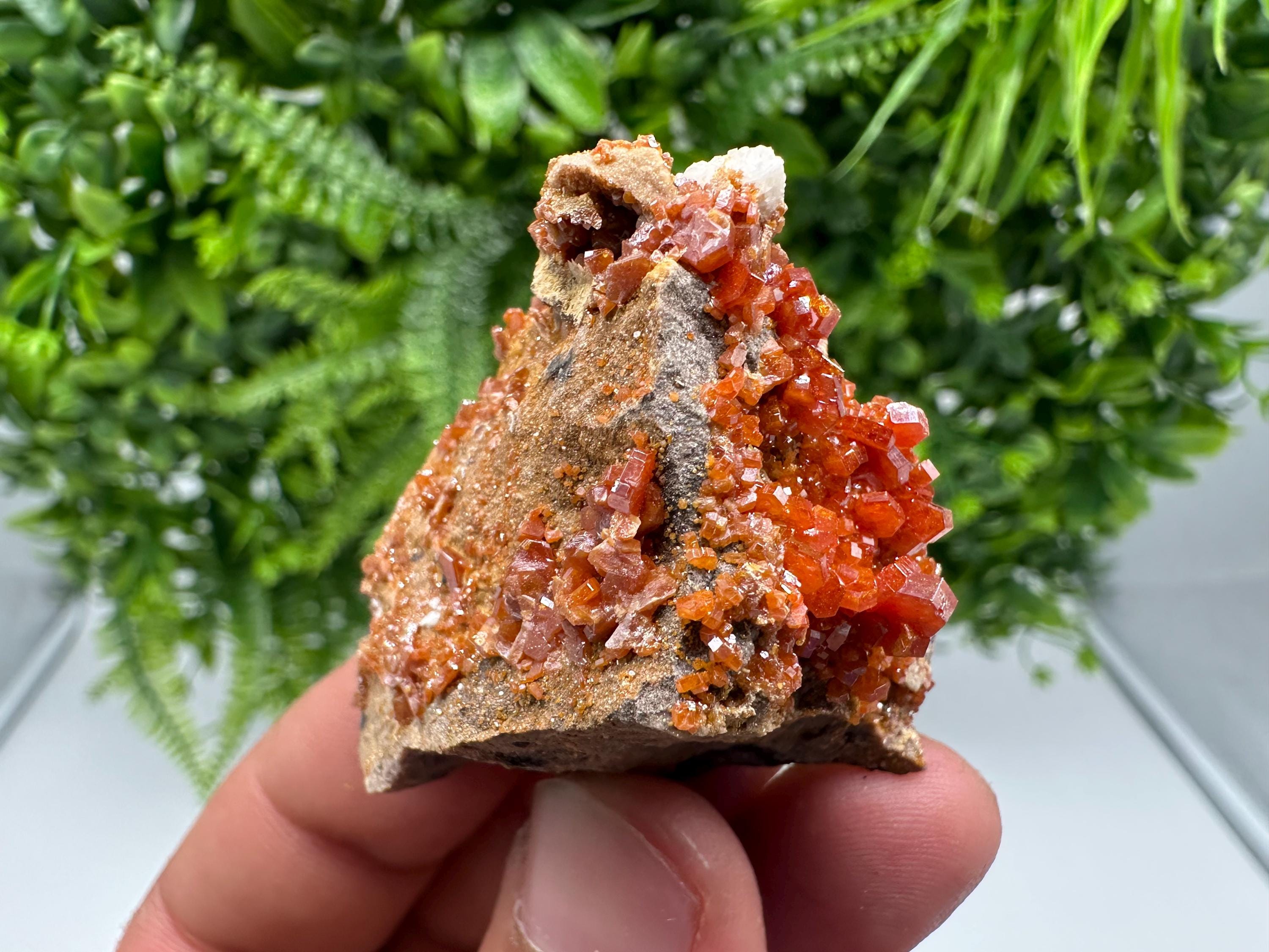 Red Vanadinite on Barite from Marocco,crystal minerals Speciment cluster Vanadinite crystal Vanadinite Geology Vanadinite cluster minerals
