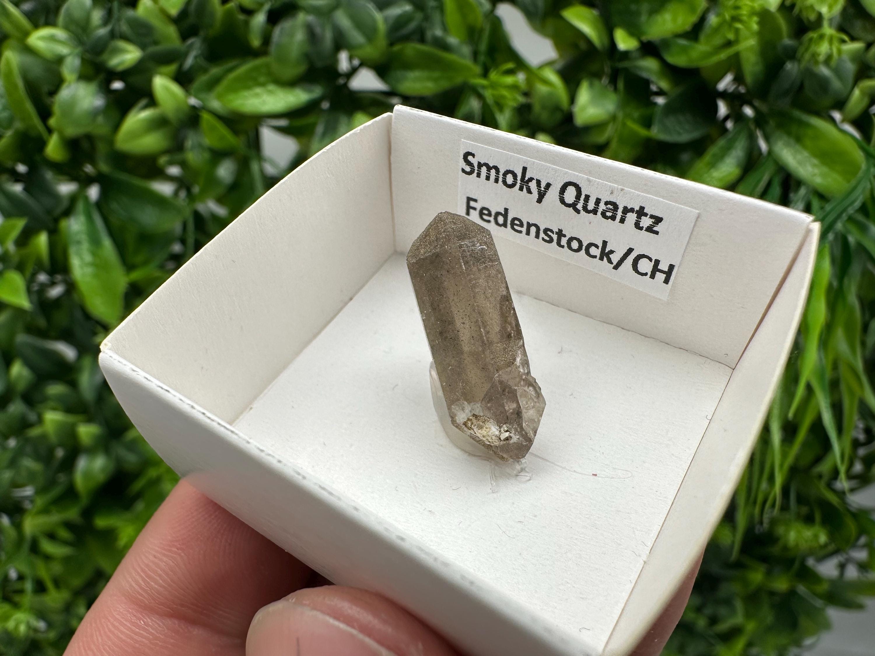 Rare Smoky Quartz Point, Fedenstock Switzerland Mineral Specimen