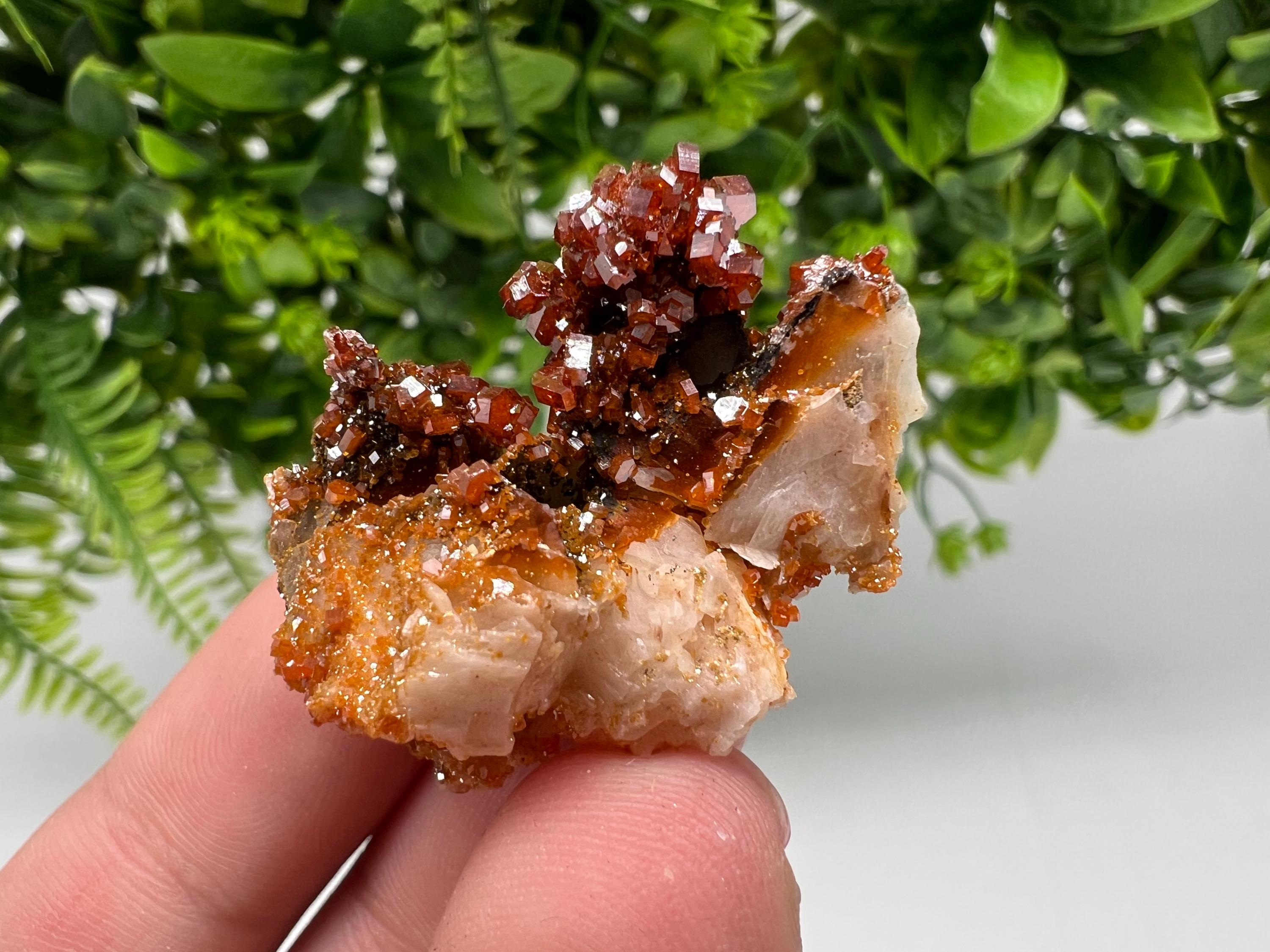 Red Vanadinite on Barite from Marocco,crystal minerals Speciment cluster Vanadinite crystal Vanadinite Geology Vanadinite cluster minerals