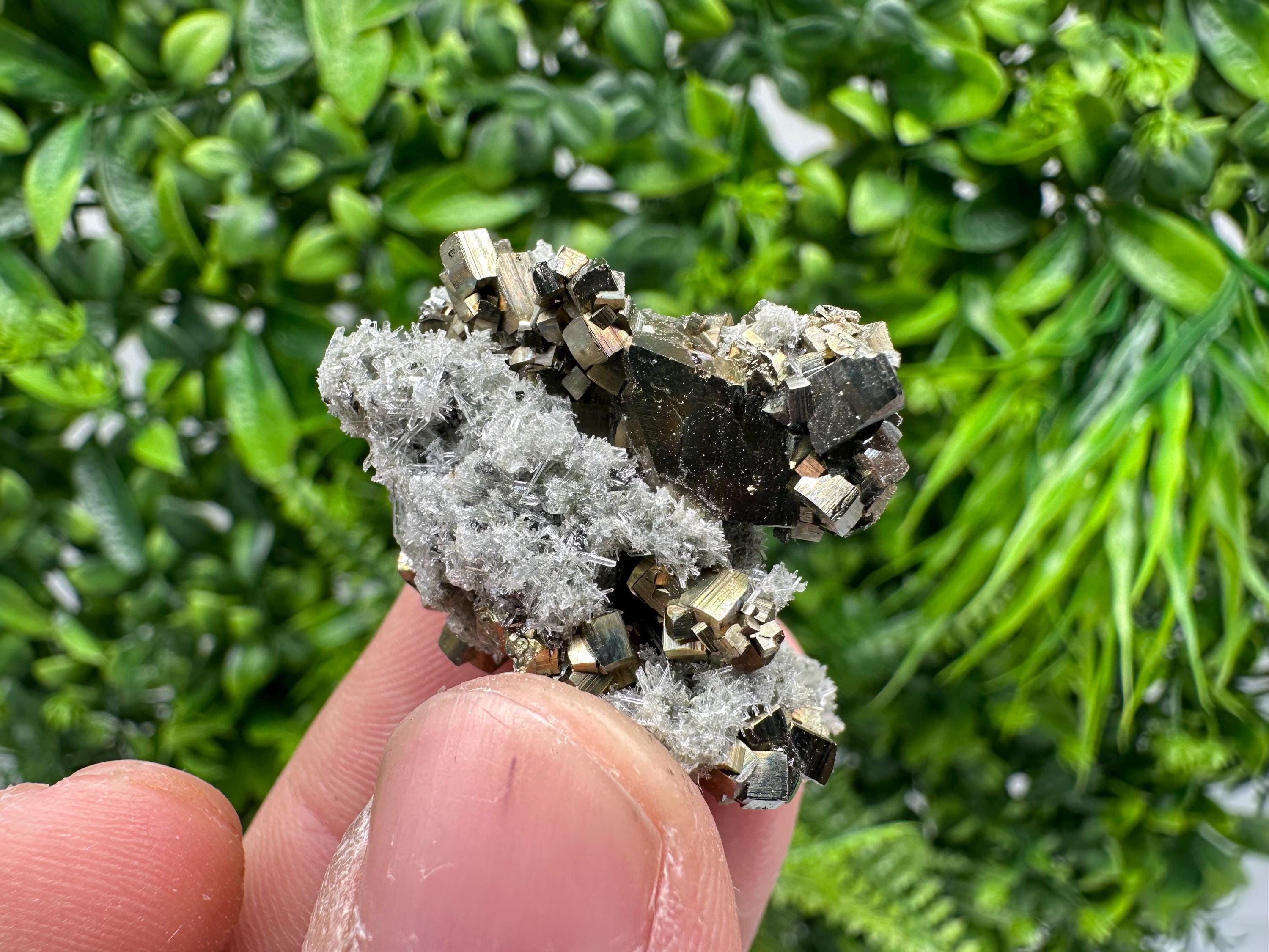 Pyrite on Green Quartz, Borieva Mine Mineral Specimen, Home Decor Stone