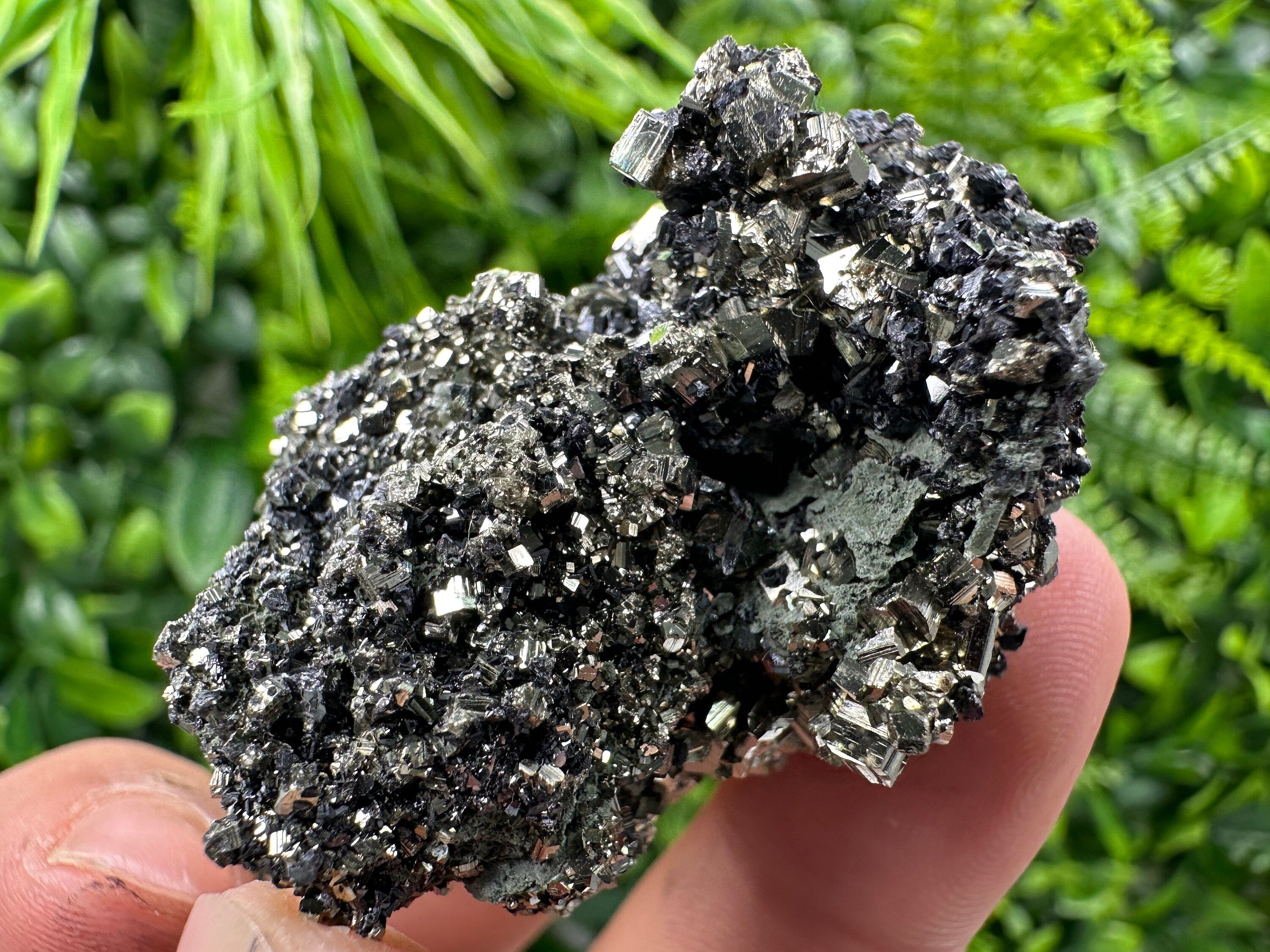 Pyrite on Quartz Needles: Borieva Mine Bulgaria Crystal Decor