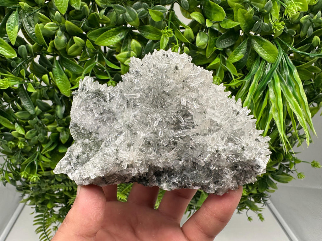 Transparent Quartz on Chlorite Matrix, Borieva Mine, Bulgaria