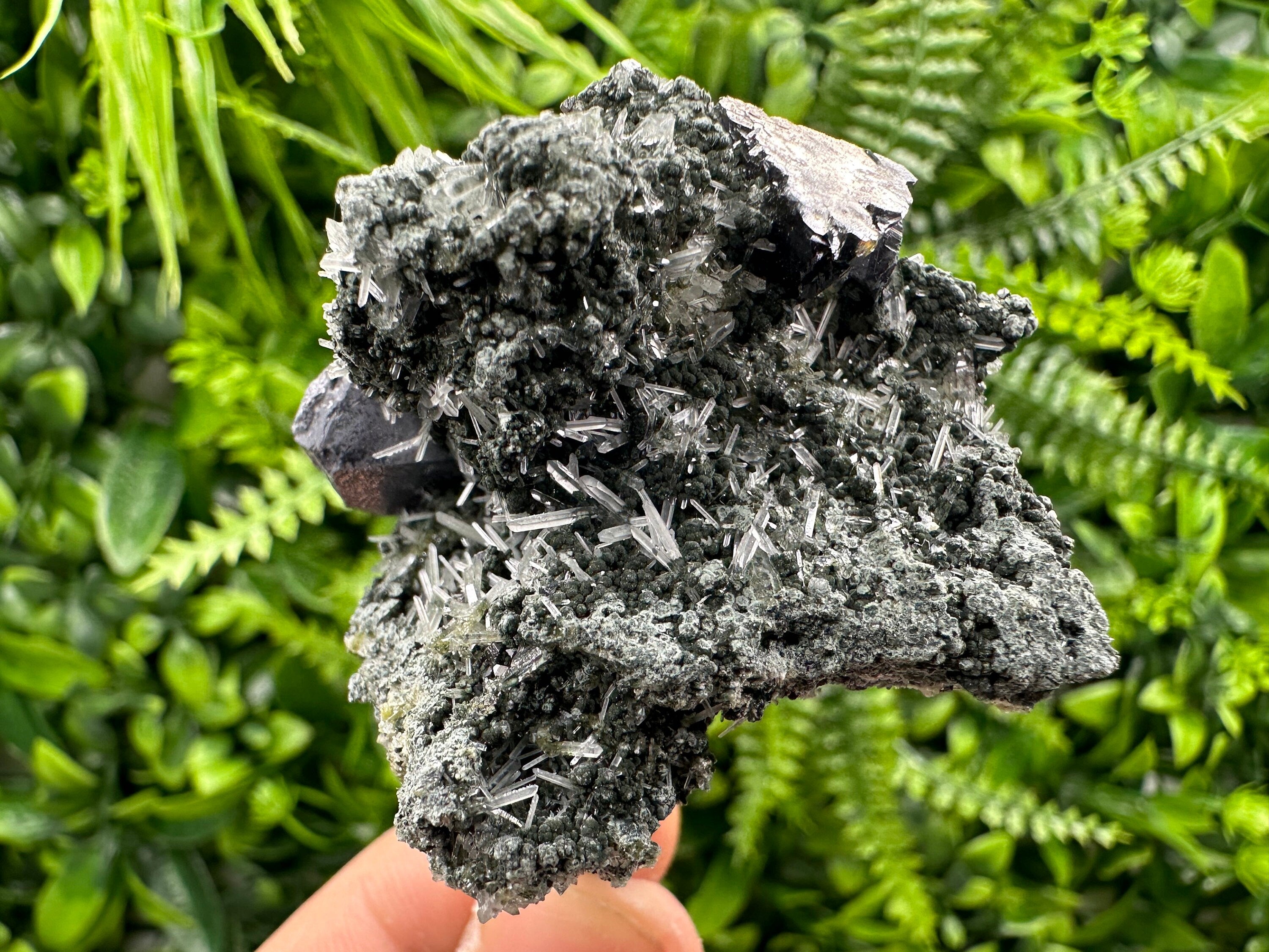 Sphalerite Galena on Green Quartz: Borieva Mine Crystal Decor