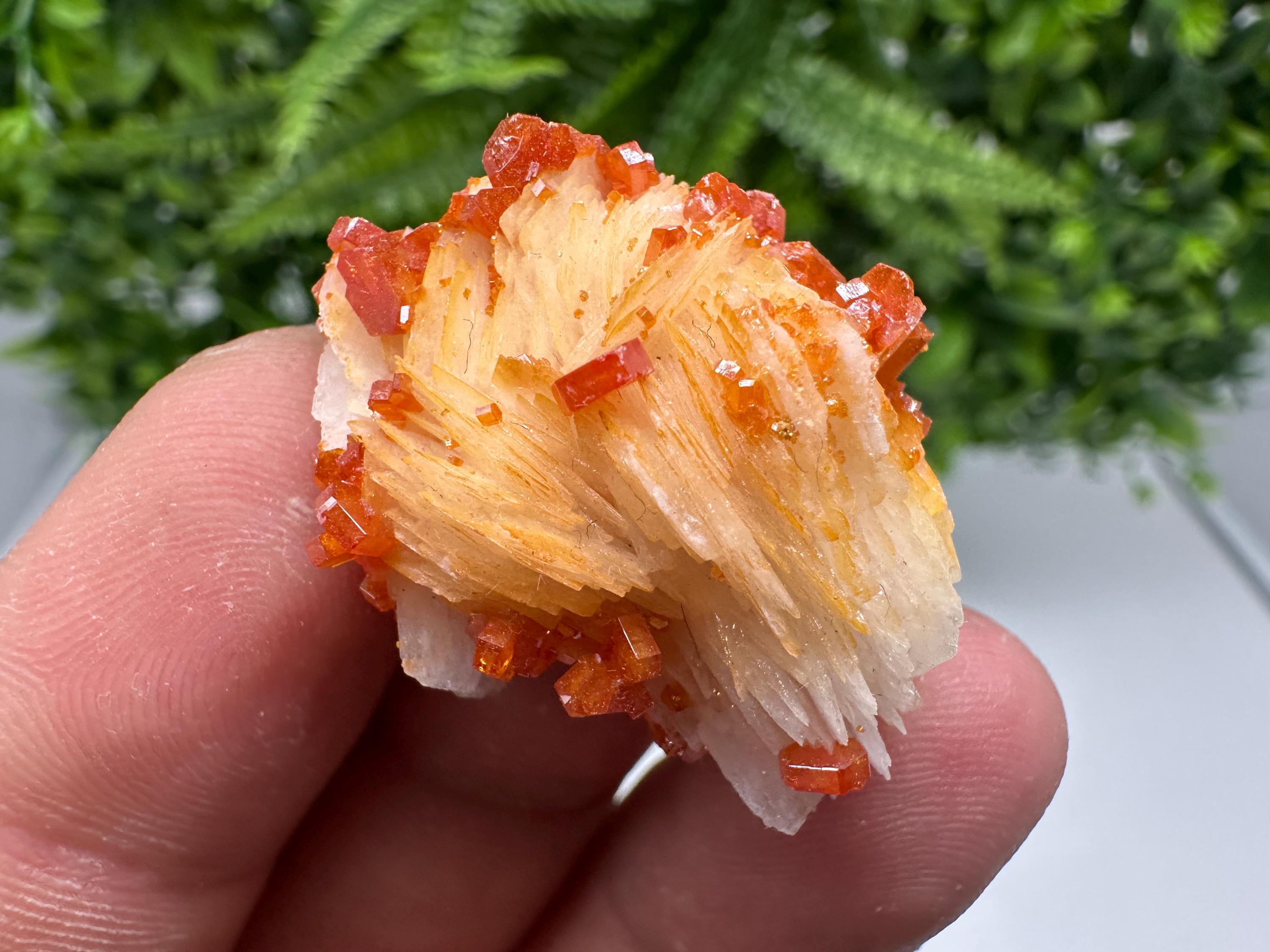 Red Vanadinite on Barite from Marocco,crystal minerals Speciment cluster Vanadinite crystal Vanadinite Geology Vanadinite cluster minerals
