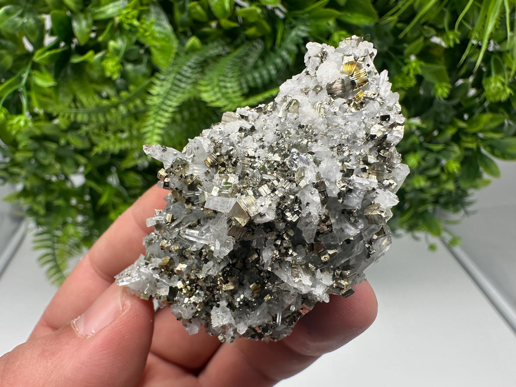 Pyrite on Green Quartz Mineral Specimen, Borieva Mine Bulgaria