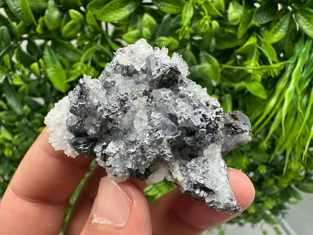 Rare Galena Sphalerite Pyrite Mineral Specimen: Krushev Dol Mine, Bulgaria