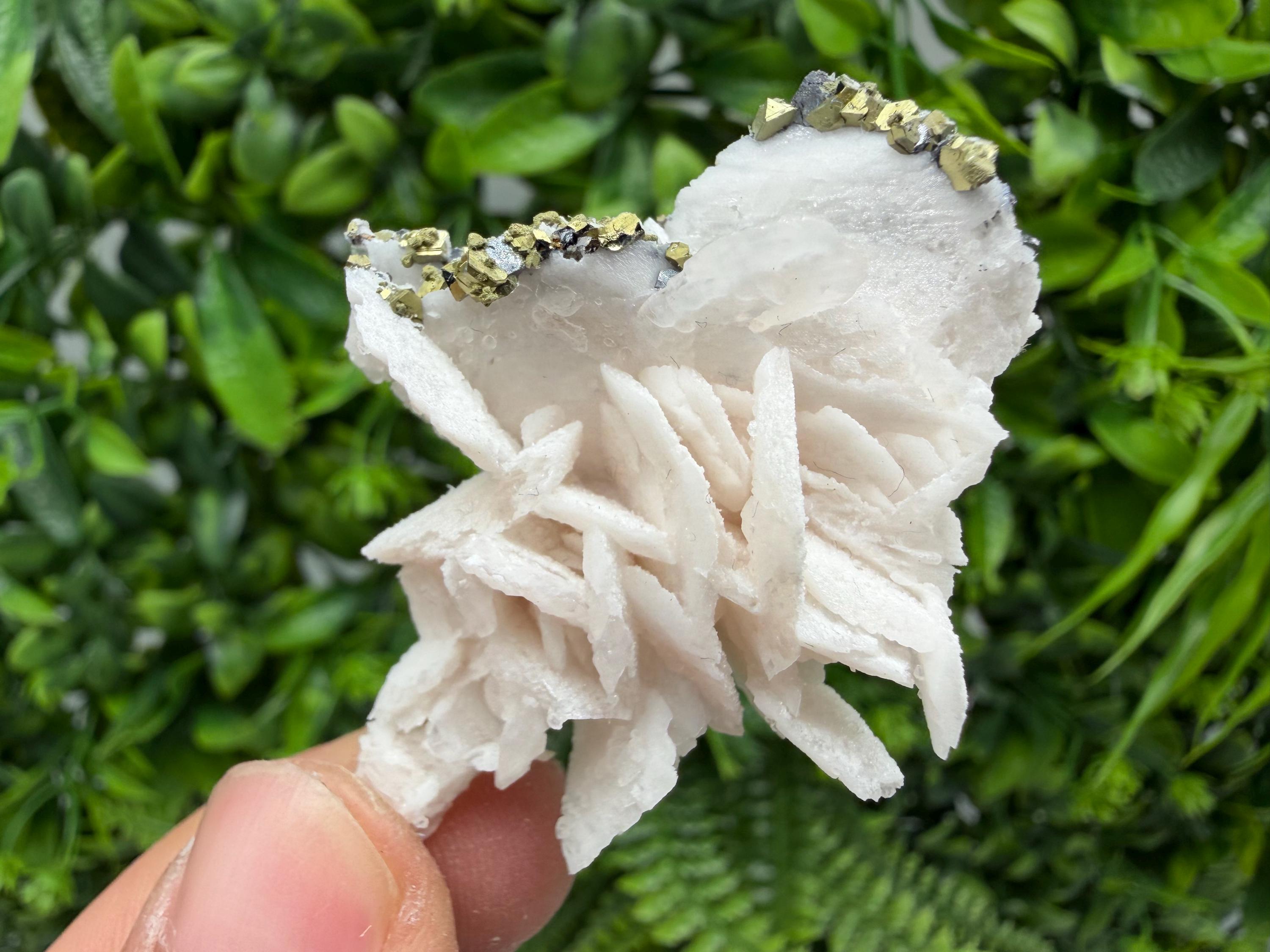 Mangano Calcite with Galena, Borieva Mine, Bulgaria