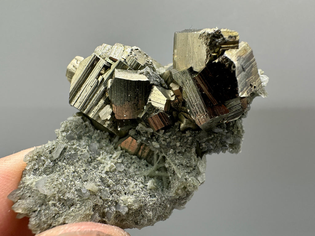 Golden Pyrite on Quartz with Chlorite - Borieva Mine Bulgaria