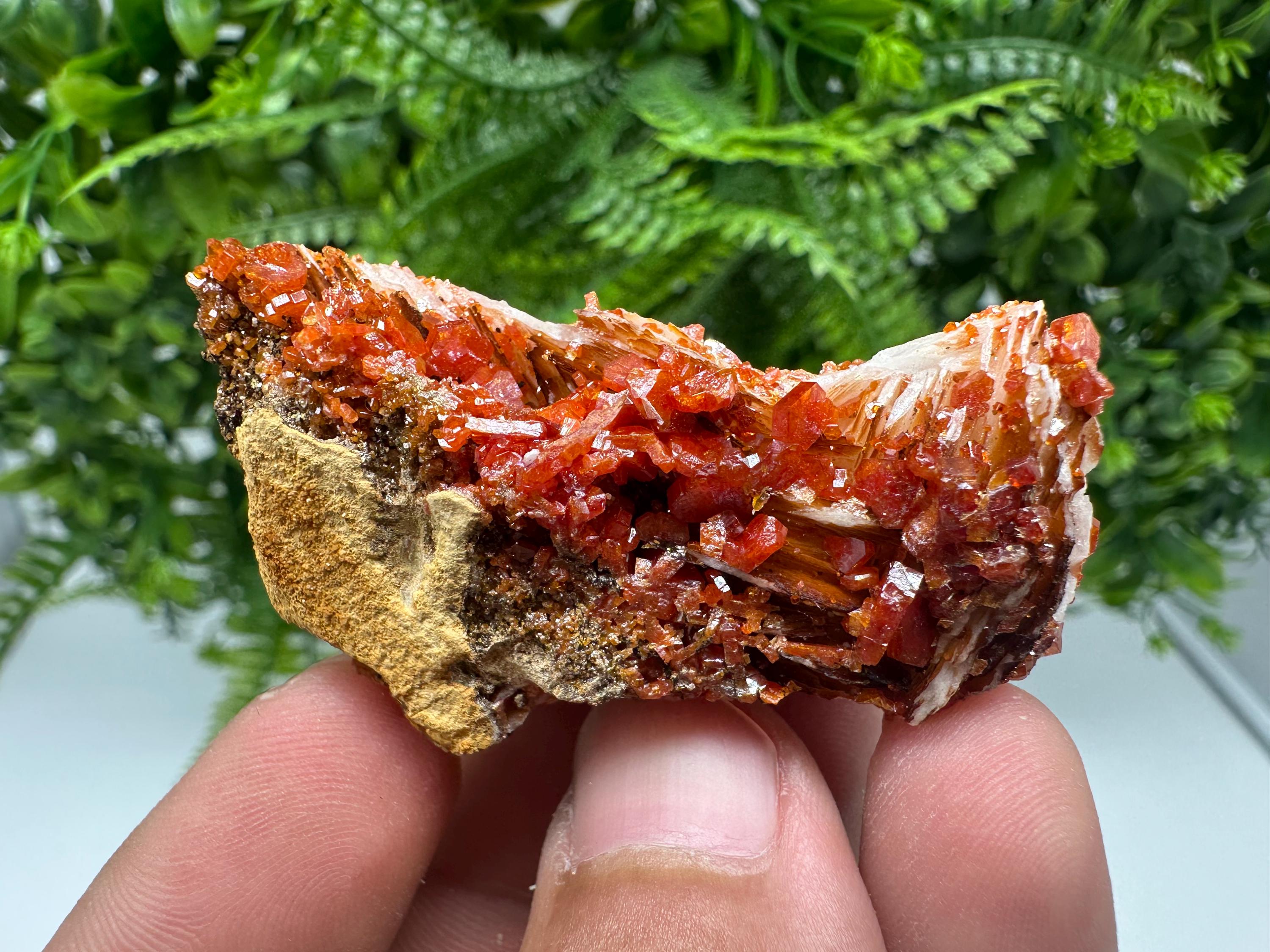 Red Vanadinite on Barite from Marocco,crystal minerals Speciment cluster Vanadinite crystal Vanadinite Geology Vanadinite cluster minerals