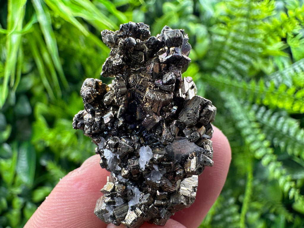 Pyrite Bornite Mineral Specimen: Borieva Mine, Bulgaria